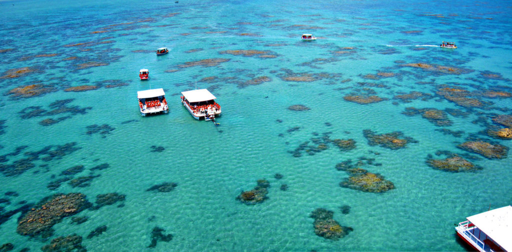 image mejores playas del nordeste de Brasil Maracajau