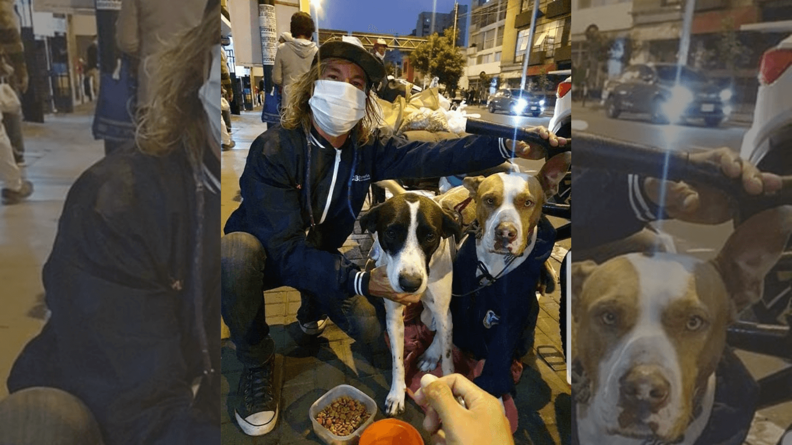 Quedó varado en Perú y se niega a ser repatriado si no puede regresar a su país con sus perros 1