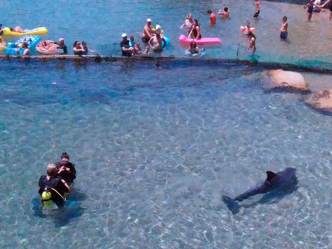 image Lugares para visitar en Israel Todo lo que tienes que saber de Eilat una ciudad portuaria en el sur de Israel y a orillas del mar Rojo 7