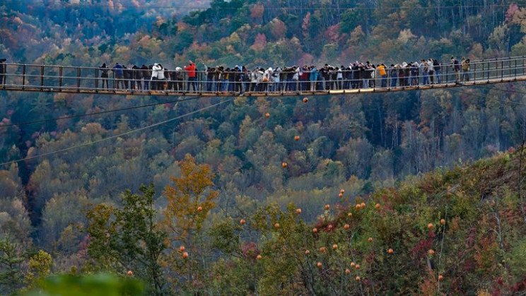 image SkyBridge bridge from afar resize md