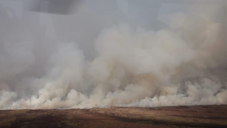 emergencia ambiental en el Delta del Paraná