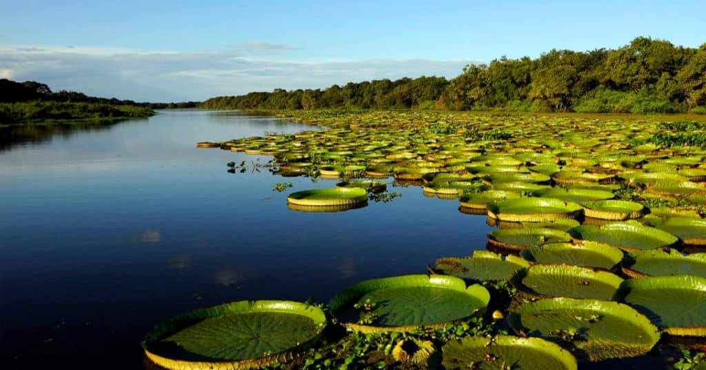 parques nacionales en Canadá Viajes image parques nacionales en Canadá formosa 5