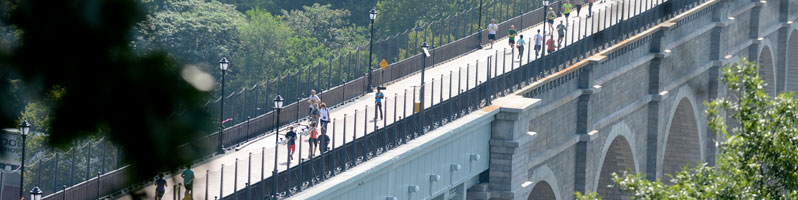 image lugares poco conocidos de Nueva York high bridge header