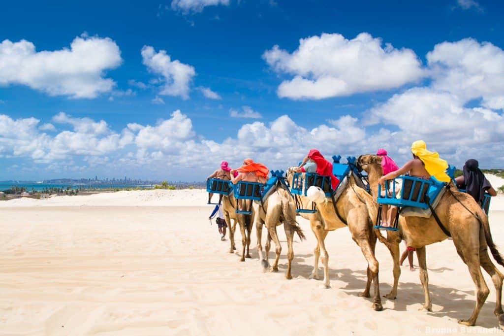 image nordeste de brasil en combi natal10 1024x682 1