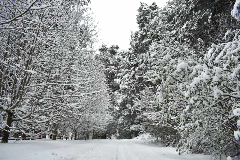 nevada bariloche