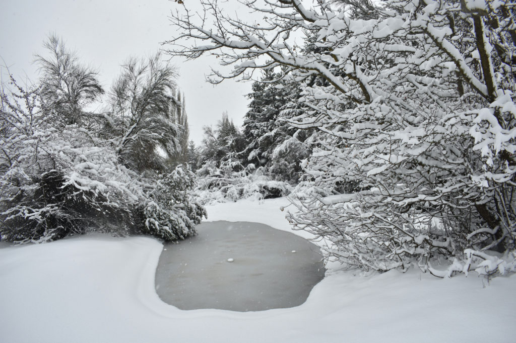 image sur argentino nevada bariloche 2020 4