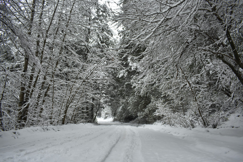 image sur argentino nevada bariloche 2020 9