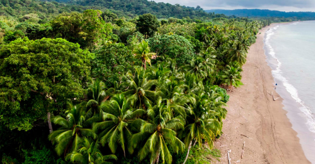 image Islas de colombia nuqui