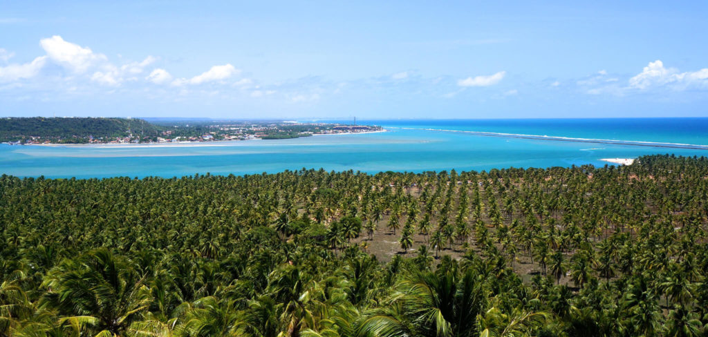 image mejores playas del nordeste de Brasil praia gunga