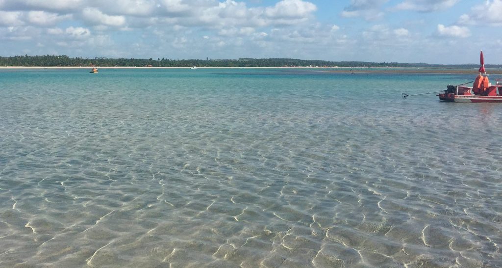 image mejores playas del nordeste de Brasil sao miguel dos milagres panoramica alagoas