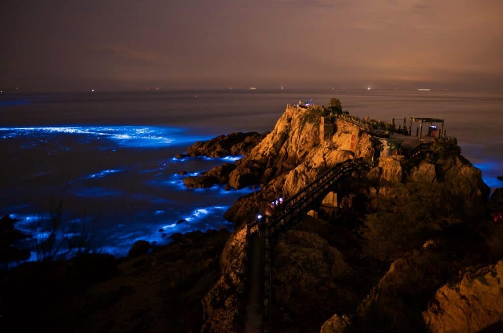 image bioluminiscencia taiwan matsu islands bioluminescent blue tears 4119608