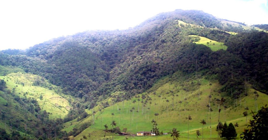 Senderismo en el Valle del Cocora: La montaña 