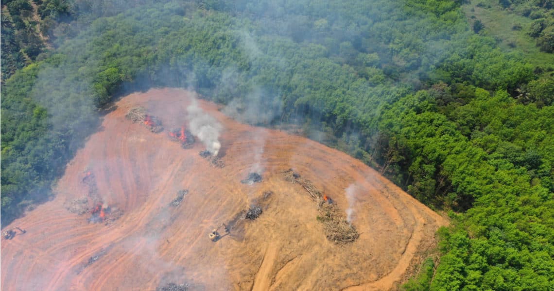 Deforestación-Amazonas-1140x600