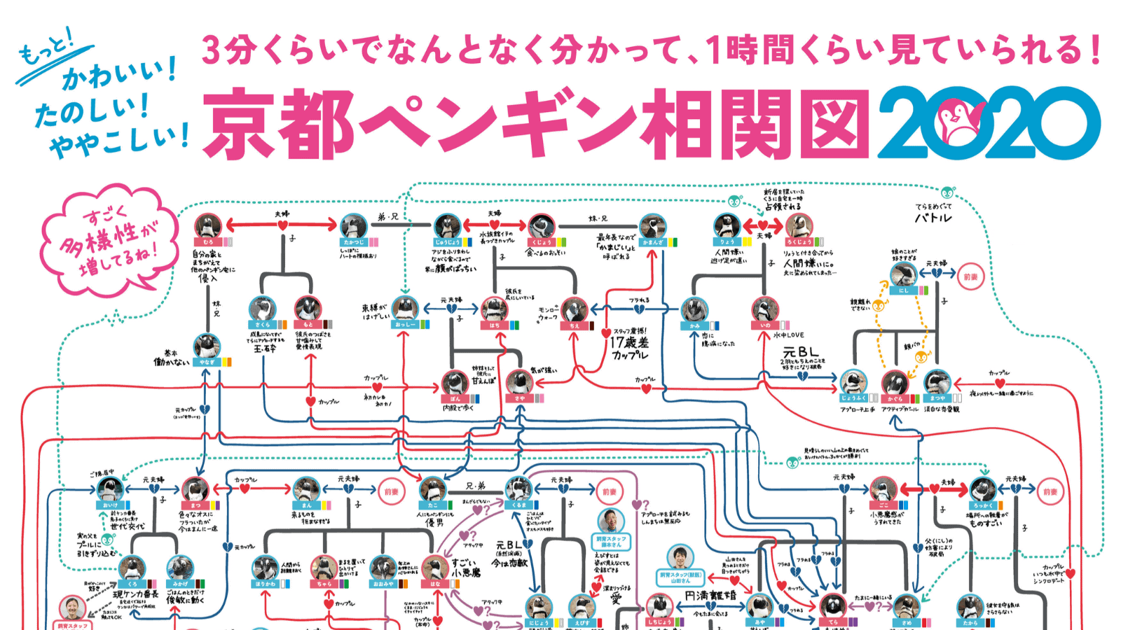 El Acuario de Kyoto anuncia la versión 2020 del mapa que muestra las relaciones amorosas entre sus pingüinos 12