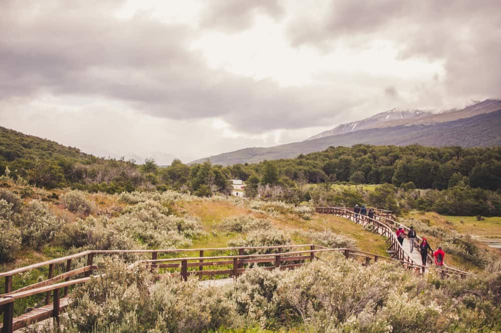 El Parque Nacional Tierra del Fuego abrirá sus puertas para residentes el próximo 16 de julio 1