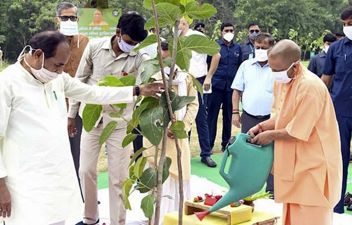 India-Uttar-Pradesh-state-government-released-Chief-Minister-Yogi-Adityanath-plants-tree