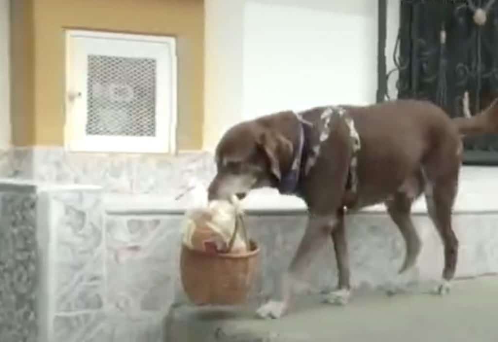 image Screen Shot 2020 07 09 at 11.13.09 AM