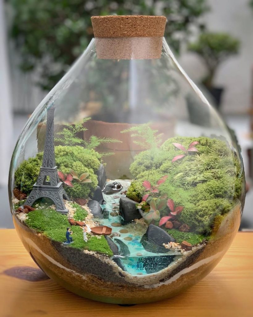 image ecosistemas This company makes incredible micro ecosystems in pots and you will definitely want one in your home 5f02f32b94570 880