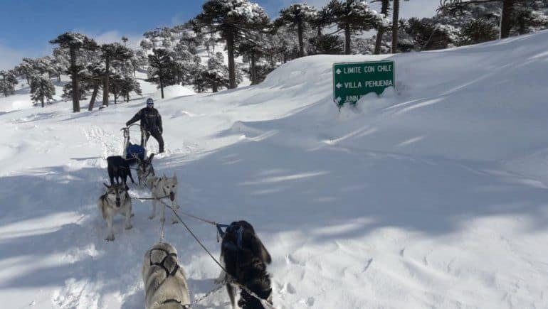 Una familia debe hacer 50 kilómetros en trineo para llegar al supermercado debido al temporal de nieve 2