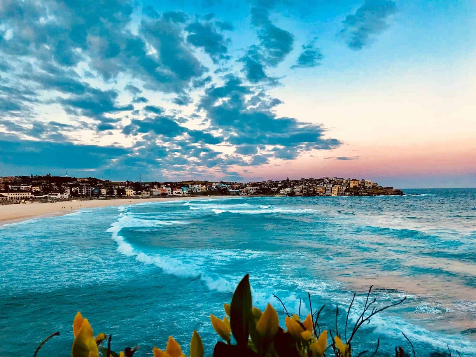 Bondi Beach