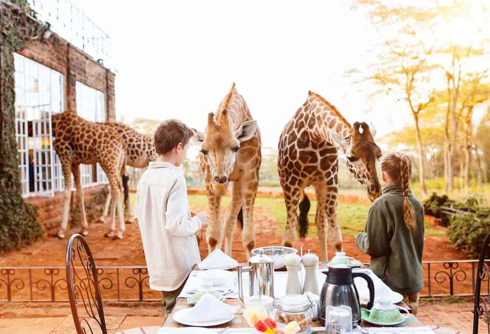 Giraffe Manor, el Hotel en donde los Huéspedes conviven con Jirafas