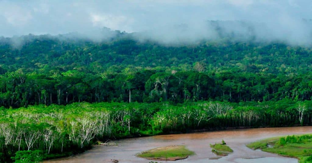 image Parque Nacional Madidi madidi 2 1