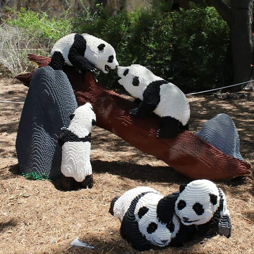 image zoológico pandas