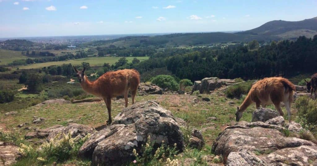 image qué hacer en Tandil tandil sierra dle tigre