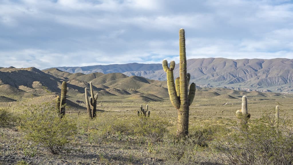 qué ver en Salta