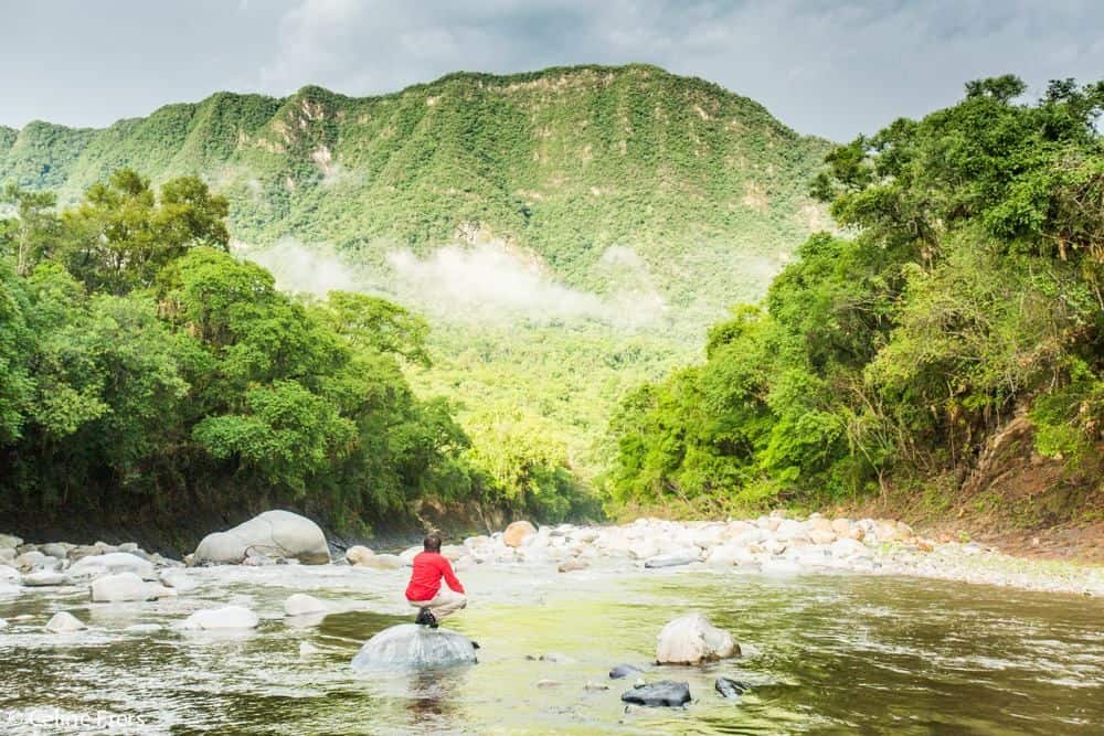 Qué hay para ver en Salta y alrededores: 14 lugares para explorar el costado más natural de la provincia