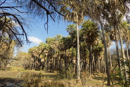 image que ver en salta 14 lugares para explorar el costado mas natural de Salta 7