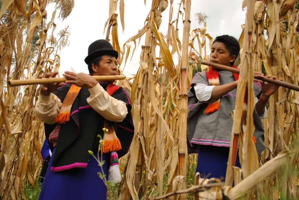 Conoce a la primera comunidad indígena en América Latina que cultivará cannabis medicinal image 5153532972 3acb1283b1 k