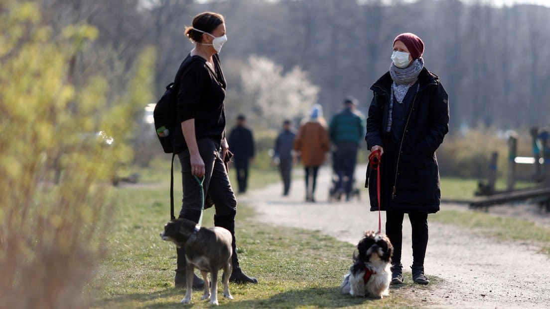 Alemania sancionará nueva ley que requiere que los dueños de perros paseen a sus mascotas dos veces al día 1