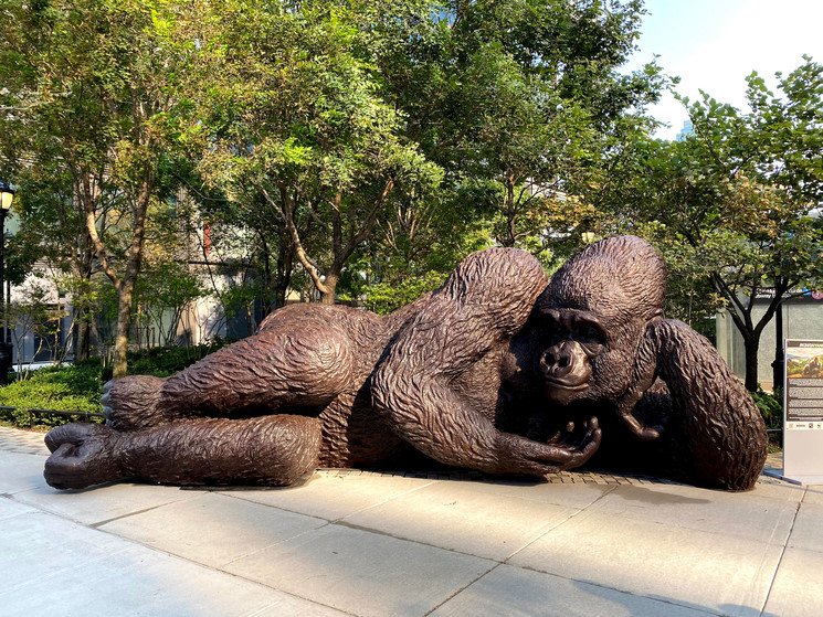 image escultura de bronce Crean la escultura de bronce mas grande del mundo con forma de King Kong para reflexionar sobre la extincion de los gorilas 3