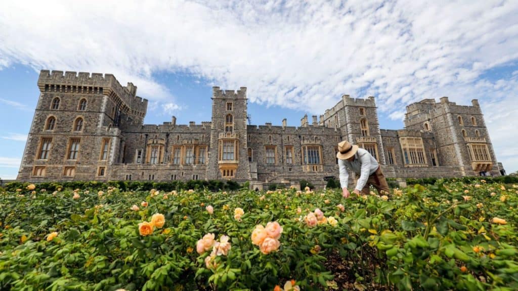 image Castillo de Windsor El Castillo de Windsor abre al público sus jardines por primera vez en 40 años 2