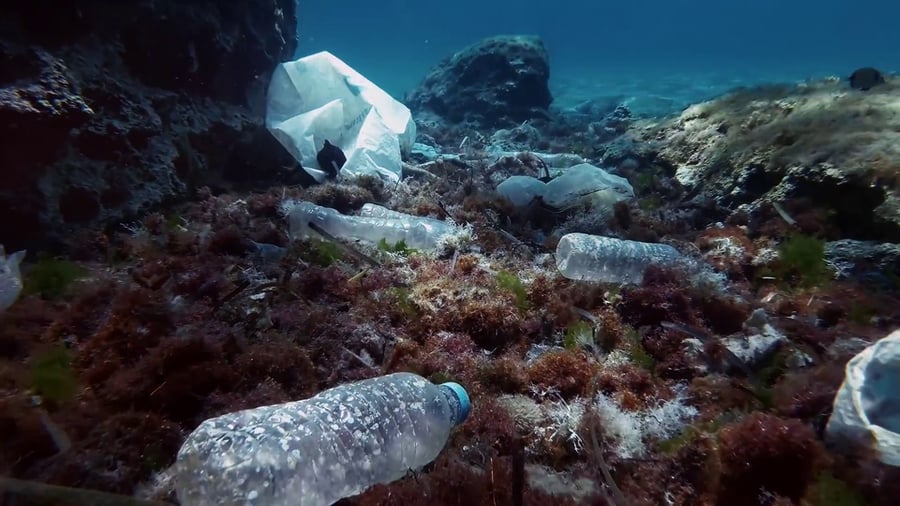 image habitantes del océano Este anuncio publicitario convierte a los plásticos en especies marinas como si se trataran de verdaderos habitantes del océano 3