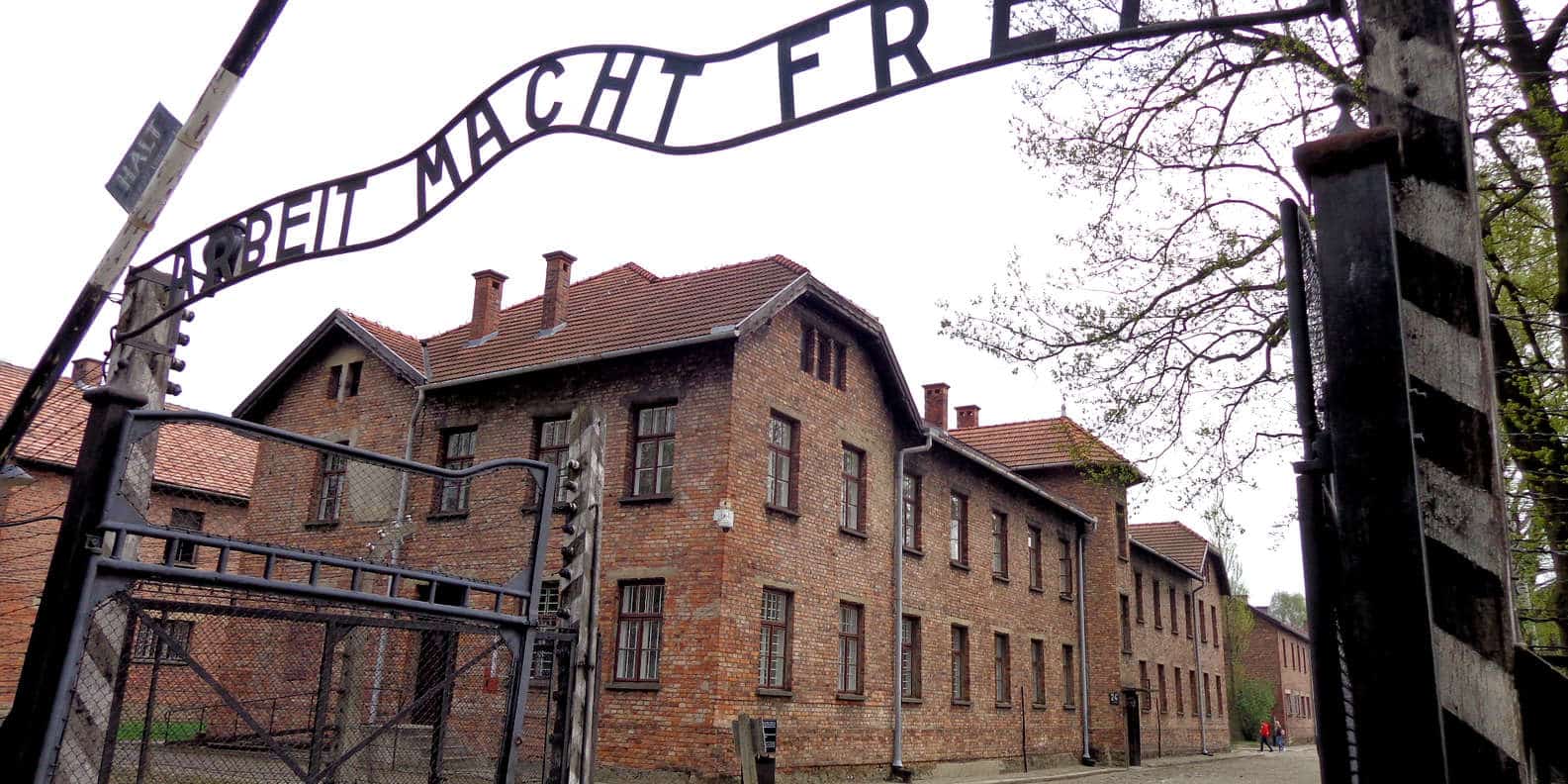 Museo de Auschwitz sostiene que la nueva tendencia de TikTok puede ser "hiriente y ofensiva"