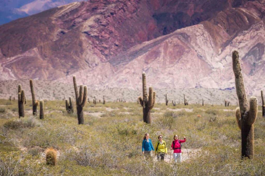 que ver y hacer en port sunlight Viajes image que ver y hacer en port sunlight Salta Marzo
