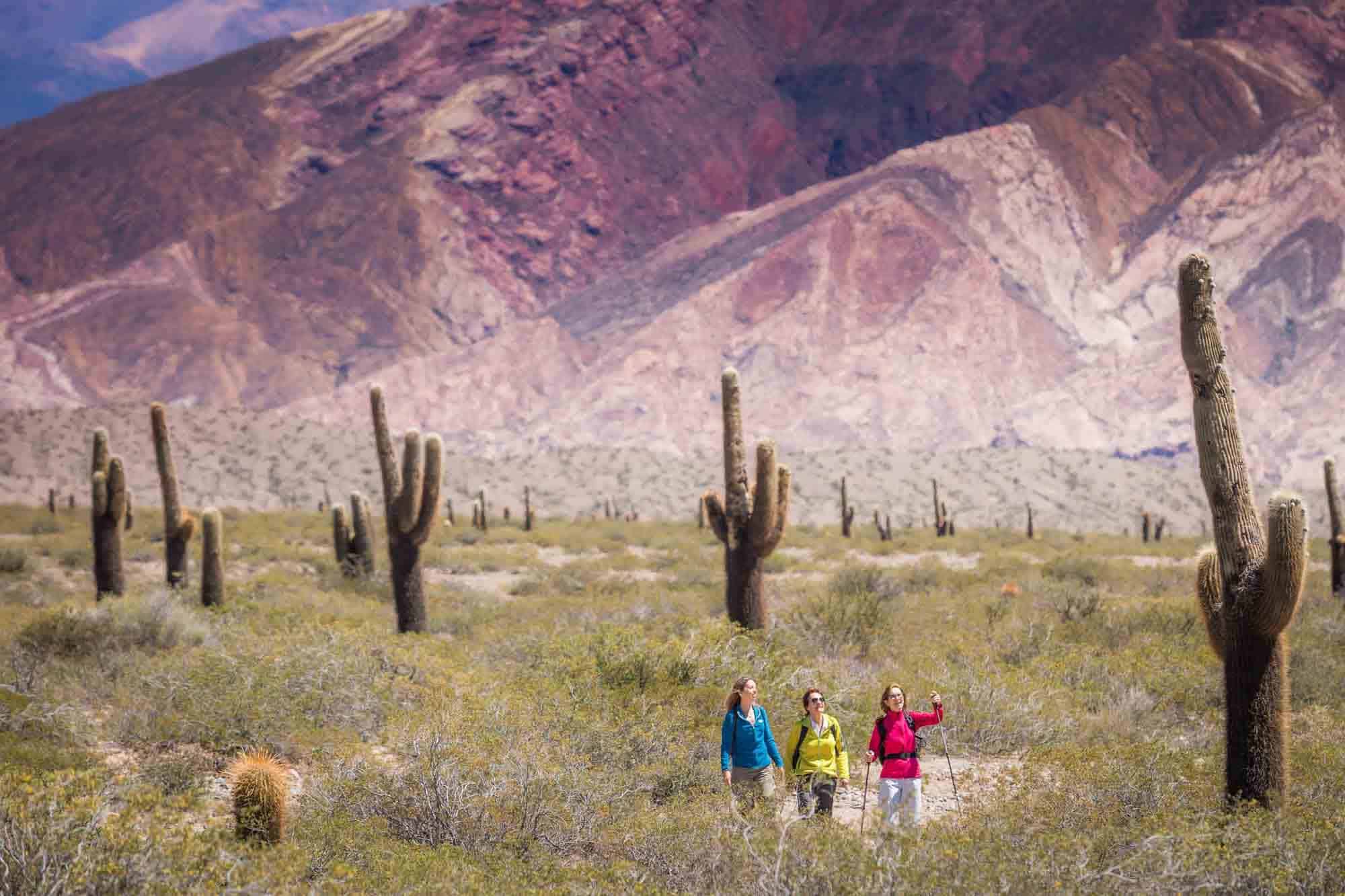 Salta-Marzo