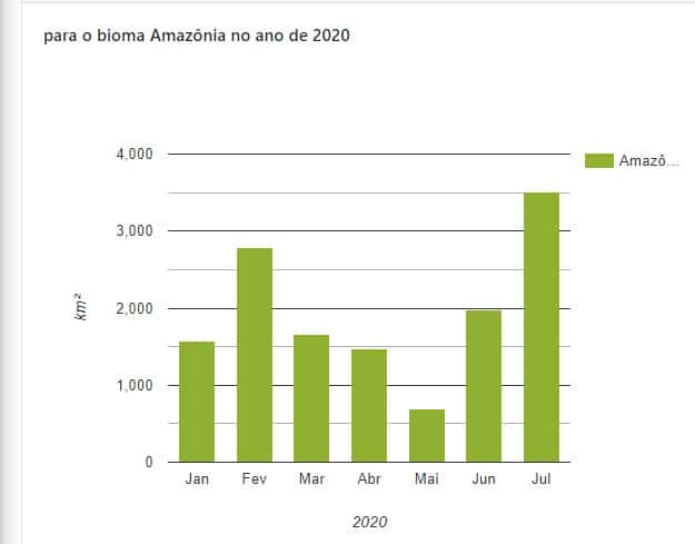 image incendios amazonas grafico