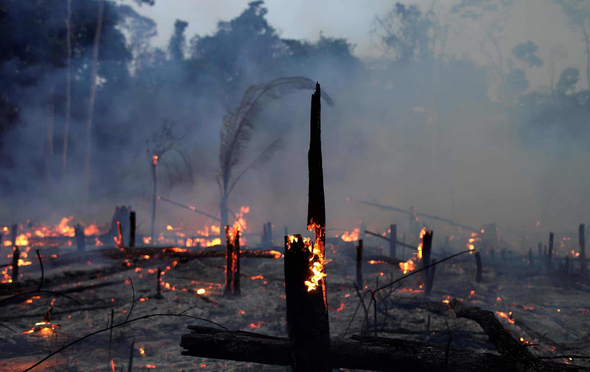 incendio en amazonas