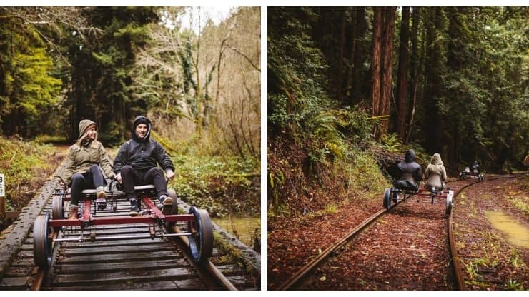 Skunk Train