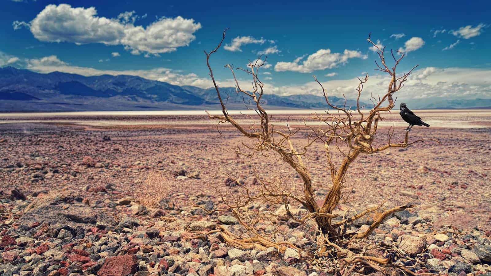 Récord de temperaturas en el valle de la muerte