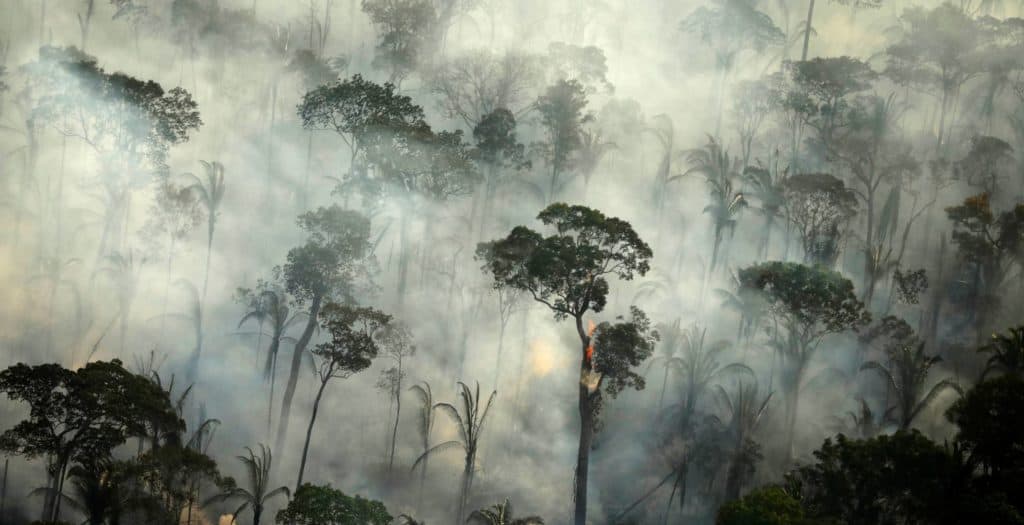 image amazonas 1568221457 486259 1568302030 noticia normal