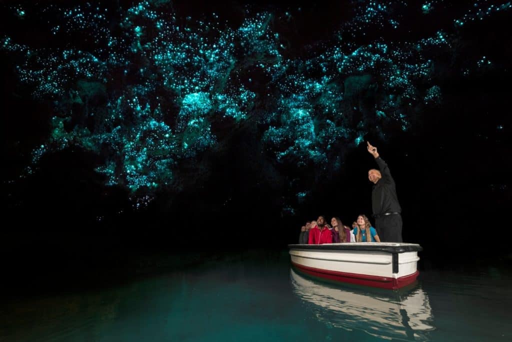 Olinda Viajes image Olinda 4 Waitomo Glowworm Caves Waikato 1