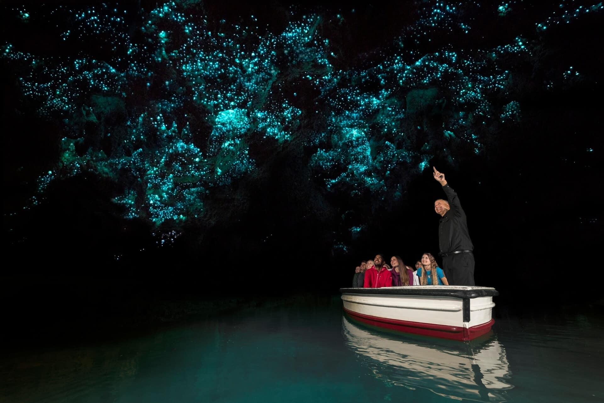 Glowworm caves, cueva de luciernagas en nueva zelanda