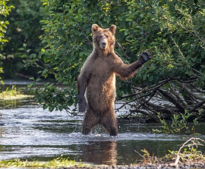 "Hi Y'all." © Eric Fisher/Comedy Wildlife Photo Awards 2020