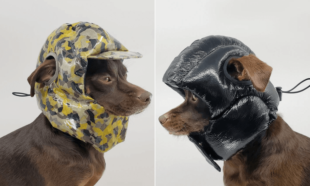 Diseñan una línea de cascos acolchados de alta costura para que los perros puedan disfrutar una siesta en cualquier lugar