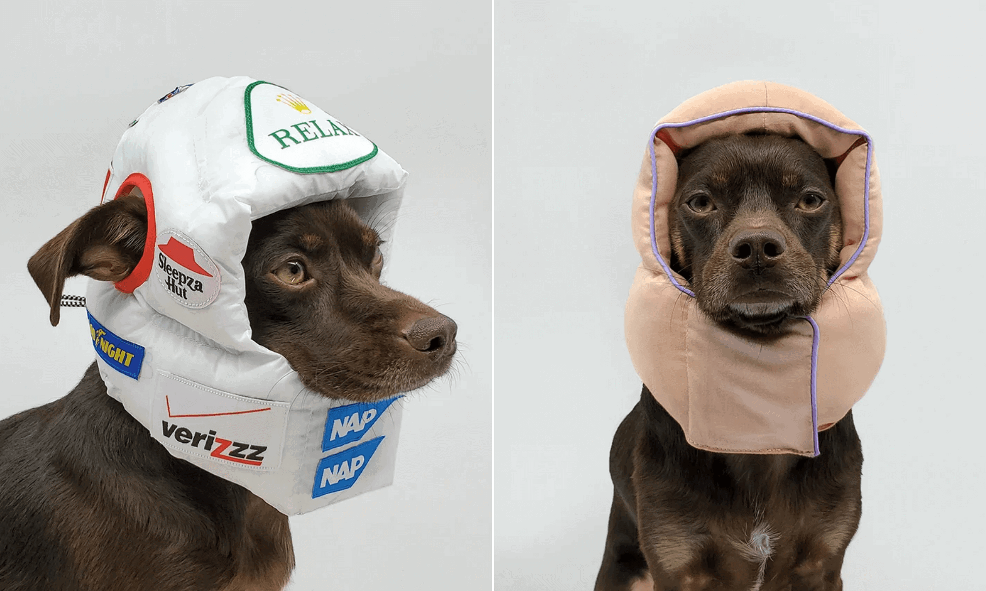 Diseñan una gama de cascos acolchados de alta costura para que los perros puedan disfrutar una siesta en cualquier lugar