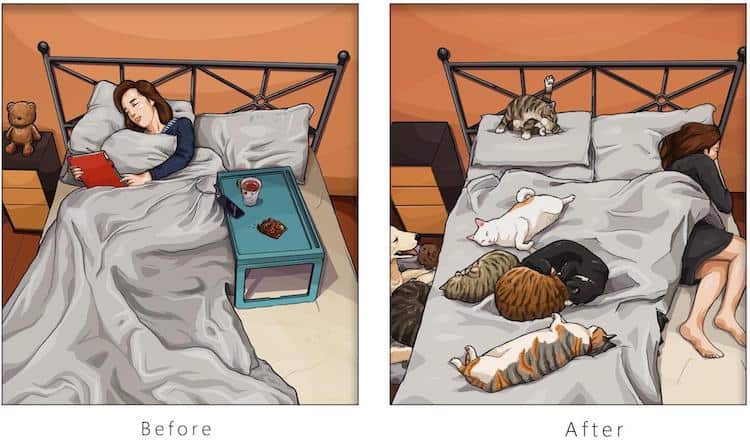 image tener una mascota Estas ilustraciones creadas por un artista taiwanes revelan como es la vida antes y despues de tener una mascota 11